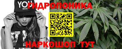 стафф Будённовск