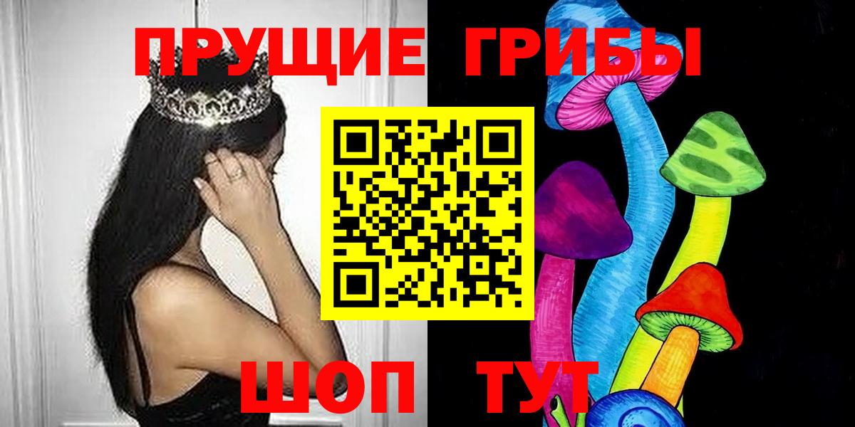 купить наркотики сайты  Вход с VPN  Геленджик  Галлюциногенные грибы прущие грибы  Галлюциногенные грибы Psilocybine cubensis 