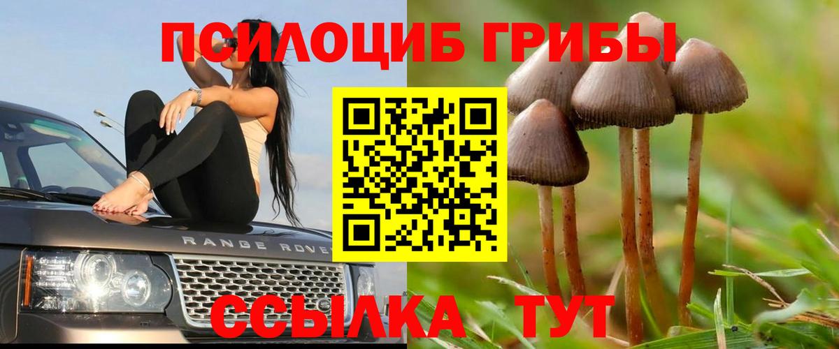 Псилоцибиновые грибы Magic Shrooms Геленджик